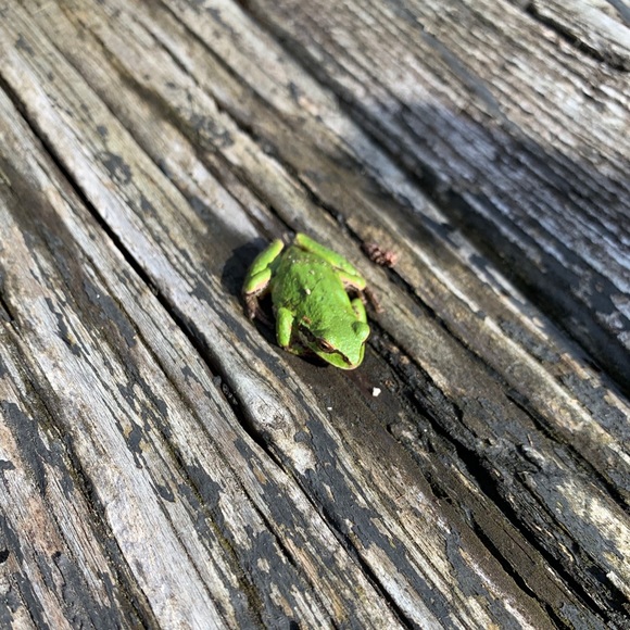 Meet your Posher, Travis - Picture 1 of 1